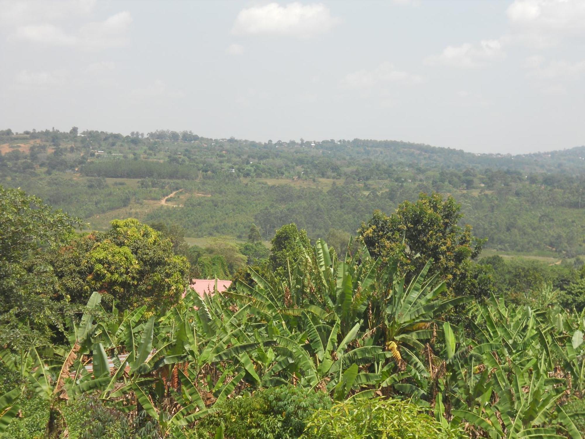 Masaka Backpackers, Tourists Cottage & Campsite Exterior foto
